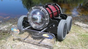 Hull BUG Hull BUG