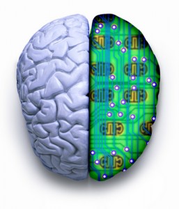 251010 Brain