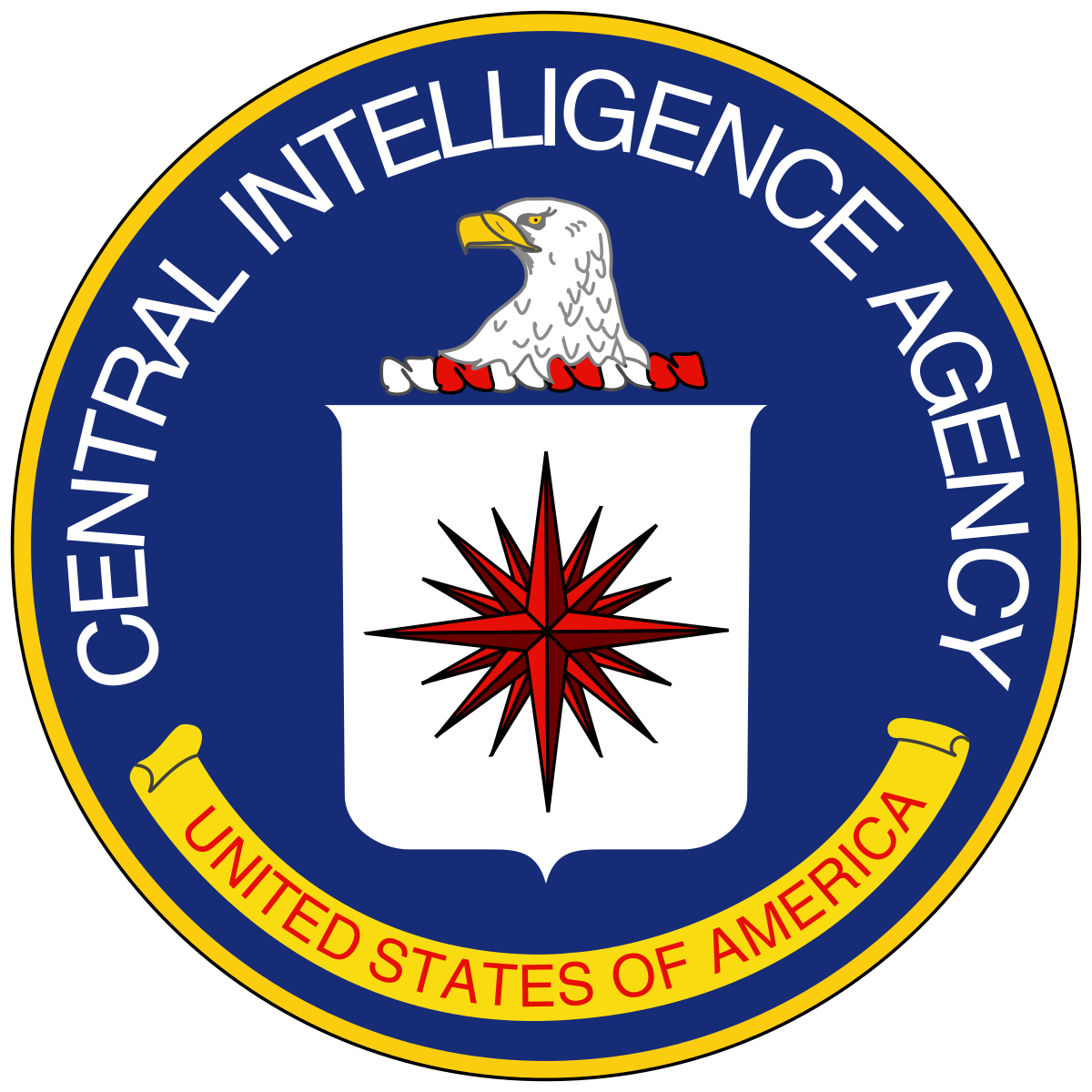 Come lavorare per la CIA