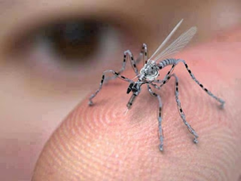 USA: una zanzara per lo spionaggio militare