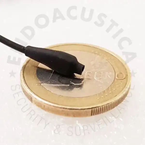 microfono del microregistratore digitale a lunga durata