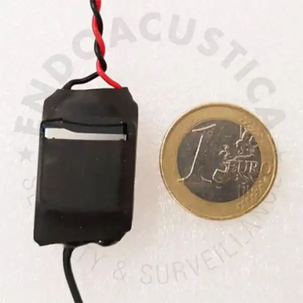 dimensioni del microregistratore digitale a lunga durata