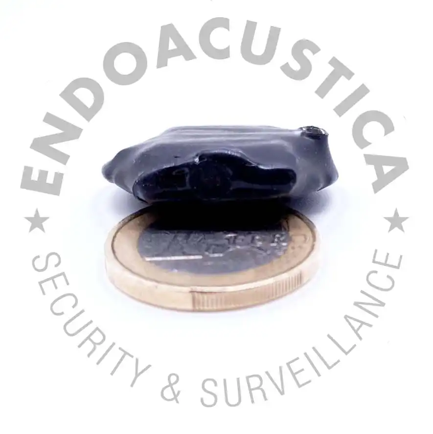 Mini registratori Endoacustica: Innovazione e Sicurezza con la Funzione Antibonifica